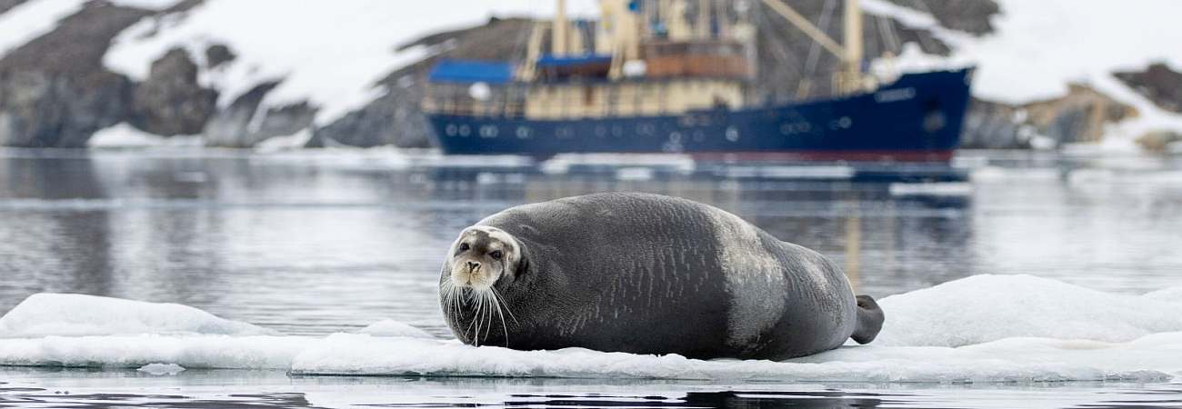 Foto: PolarQuest